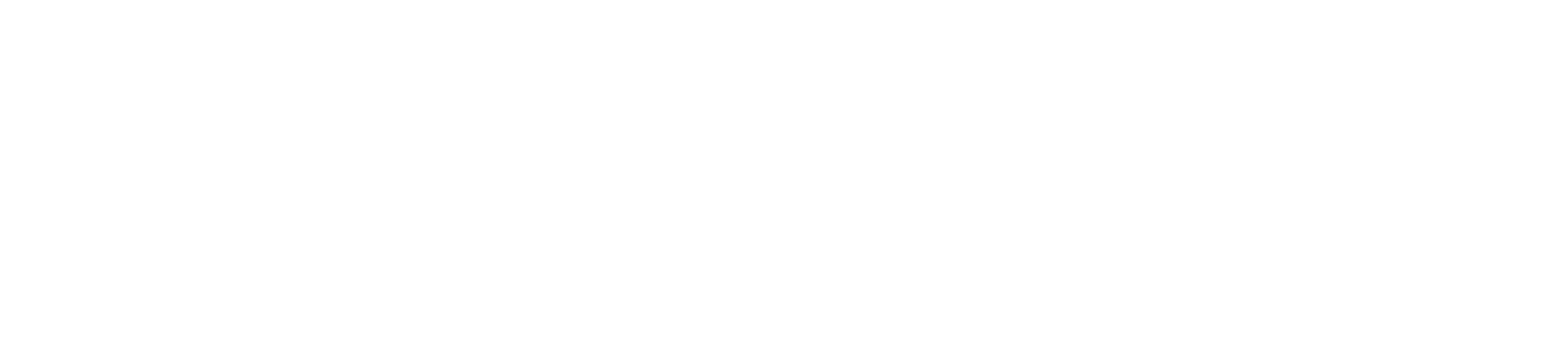 Co-funded by European Union
